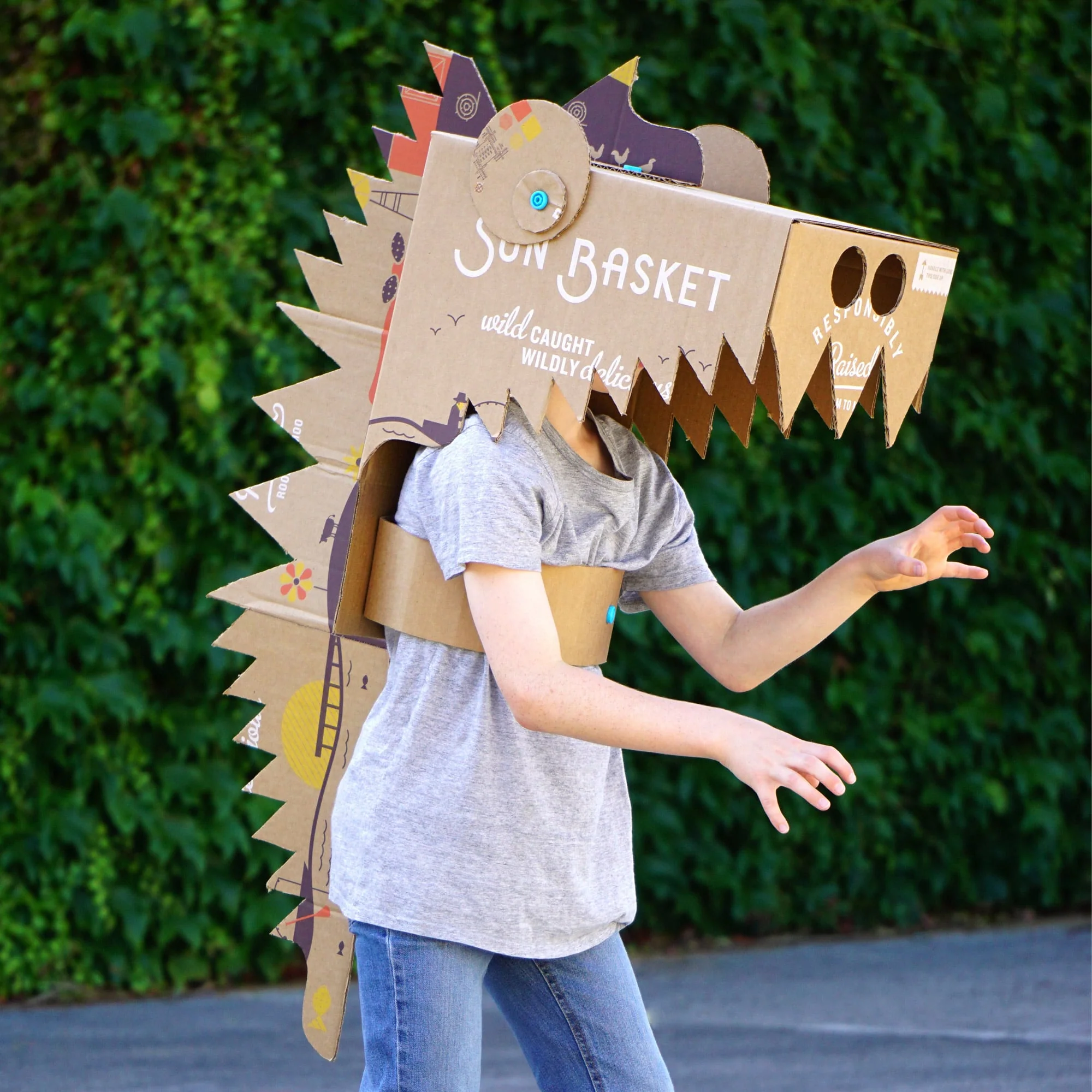 Discover Plus Bundle - Image 8